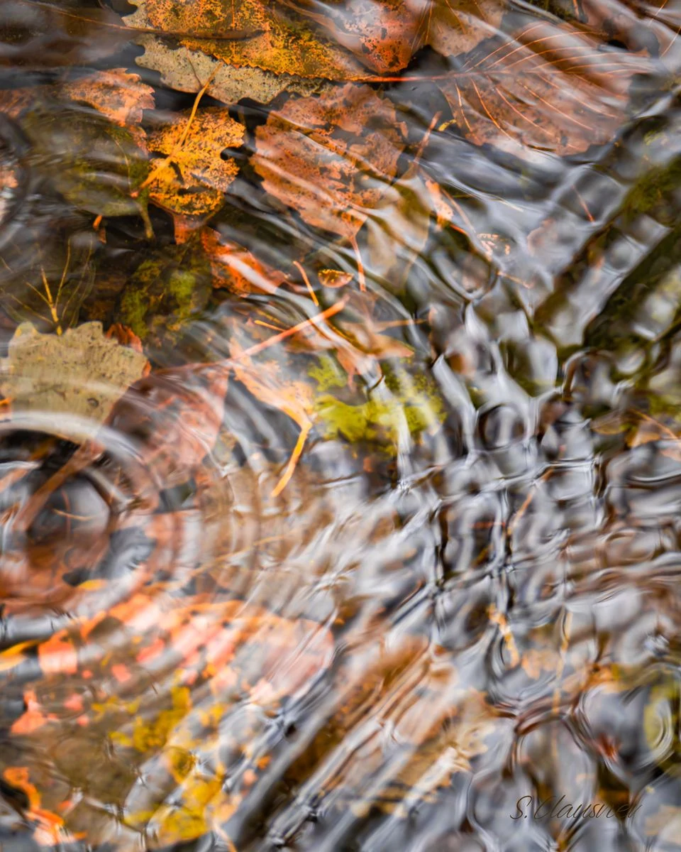 Reflets cuivrés déformés par les remous du courant
