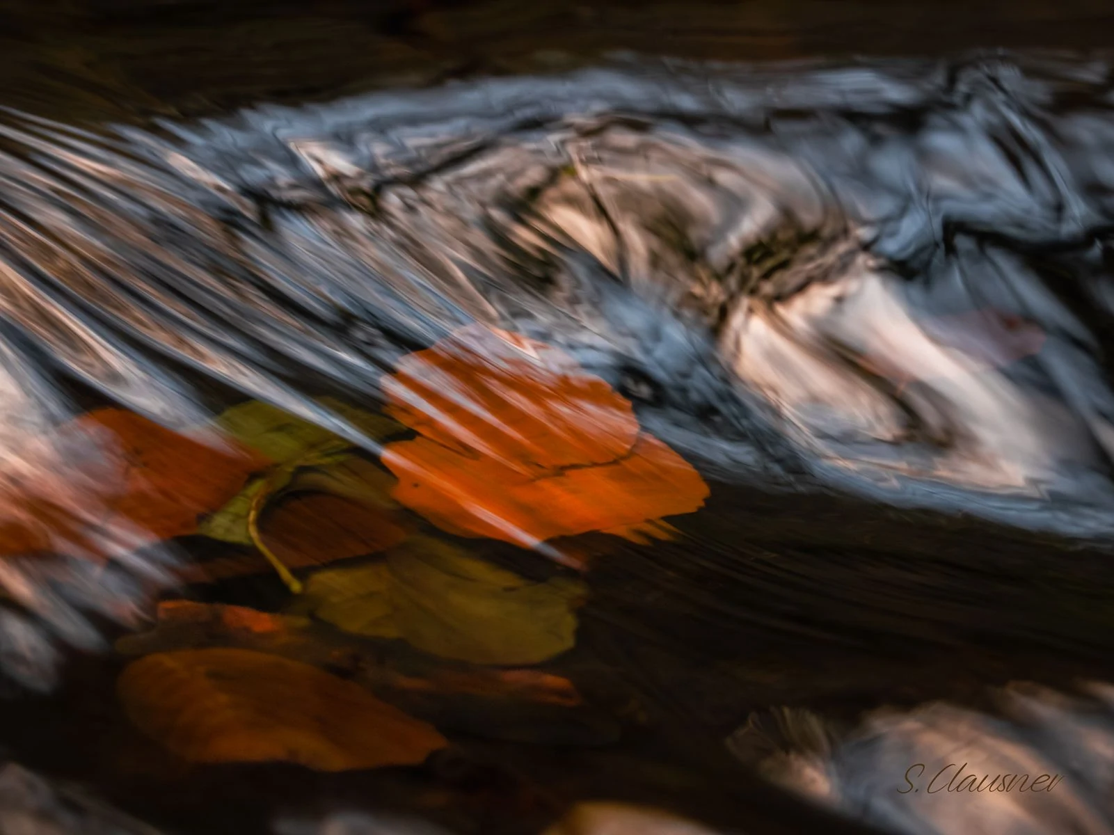 Feuille orange emportée dans les mouvements du ruisseau